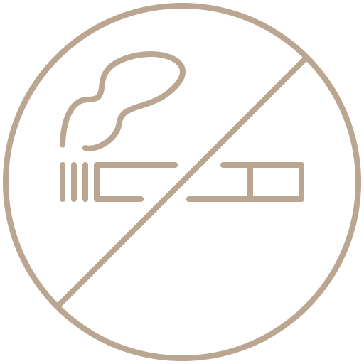 Nichtraucherhaus Icon